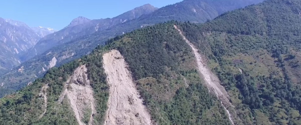 Software Engineering and Digital Services