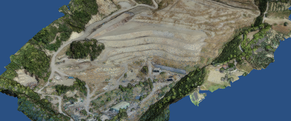 Software Engineering and Digital Services